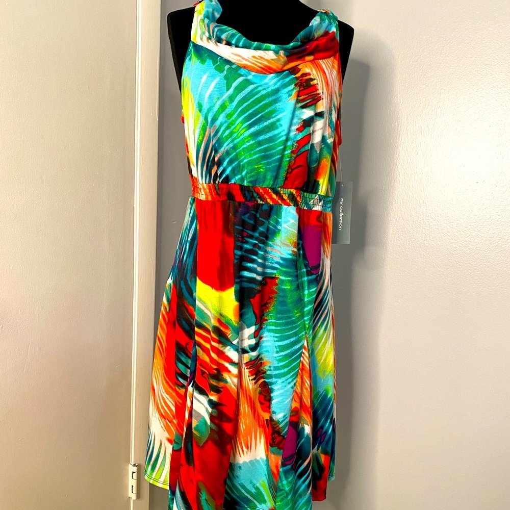NWT Women’s Multi Colored Dress Size L